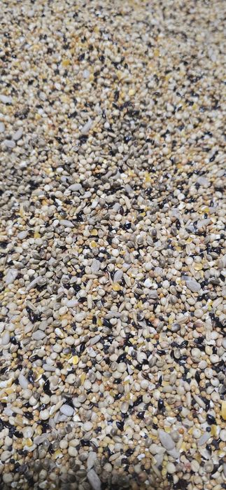 Корма и витамины для бедана