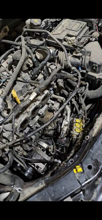 Mator hadavoy remont