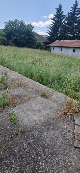 Продава се Парцел в с. Плана, Област София-град - 1000 кв.м за 70 €/кв.м - Снимка #3