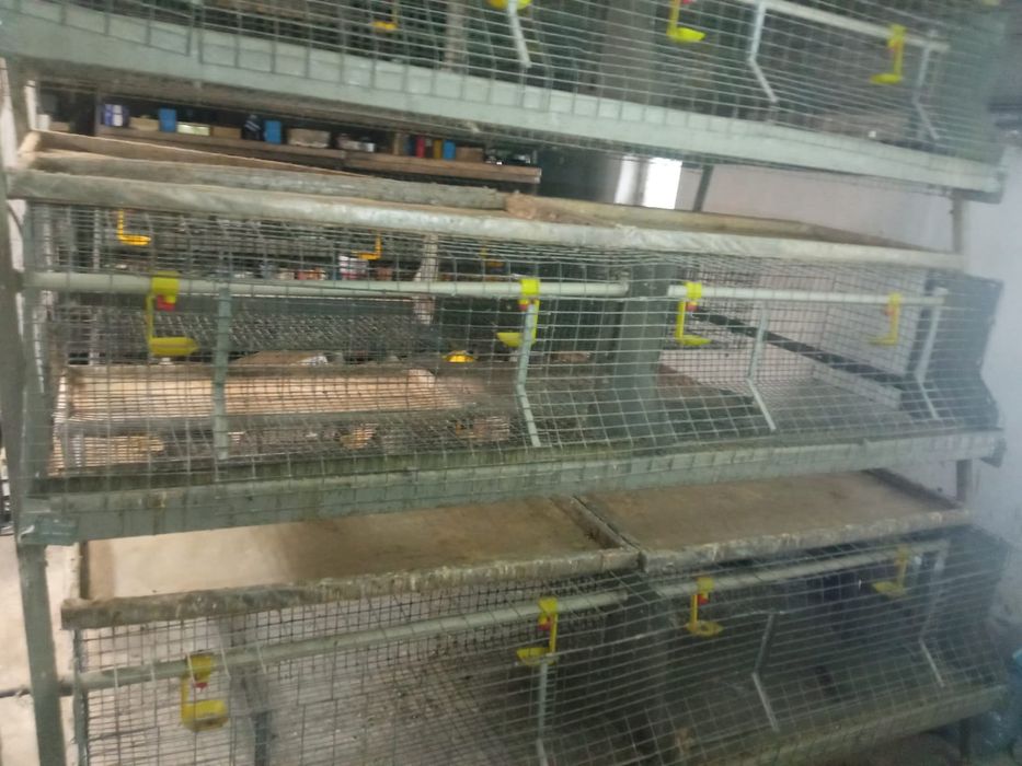 Клетка для птицы