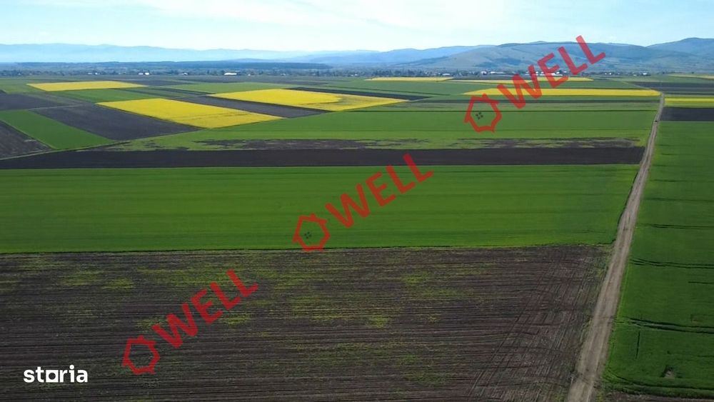 5 terenuri agricole de vânzare în Sântionlunca!
