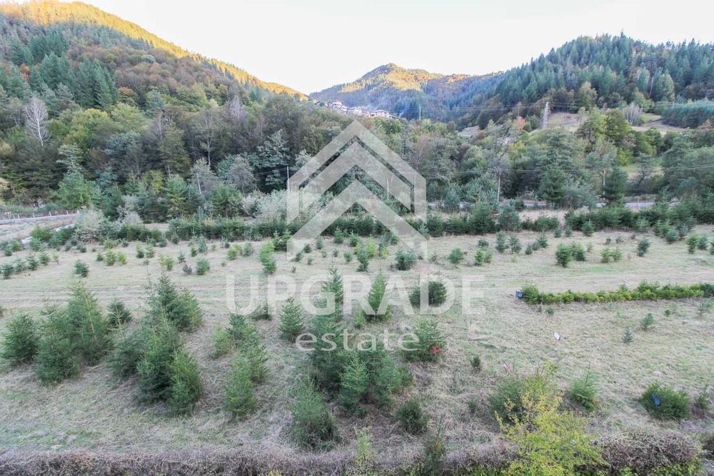 Продава се Къща в с. Елховец, Област Смолян - 450 кв.м за 378 €/кв.м - Снимка #19