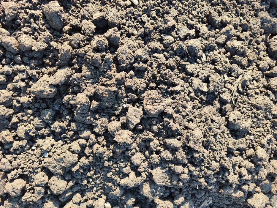 Чернозем, перегной, көң