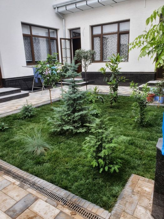 Газон екиш хизмати ландшафт