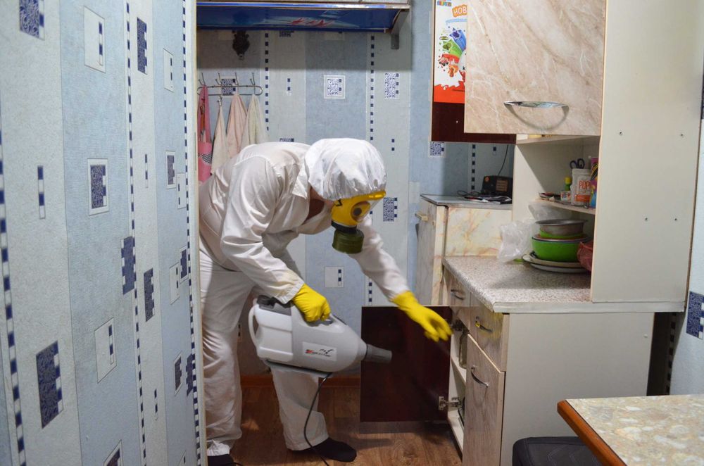 Жёстко наказываю клопов  (-за мной не надо переделовать опыт Сергей)