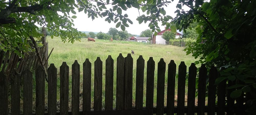 Casă de vânzare în Dolheștii Mari ,2400mp de  teren. ,