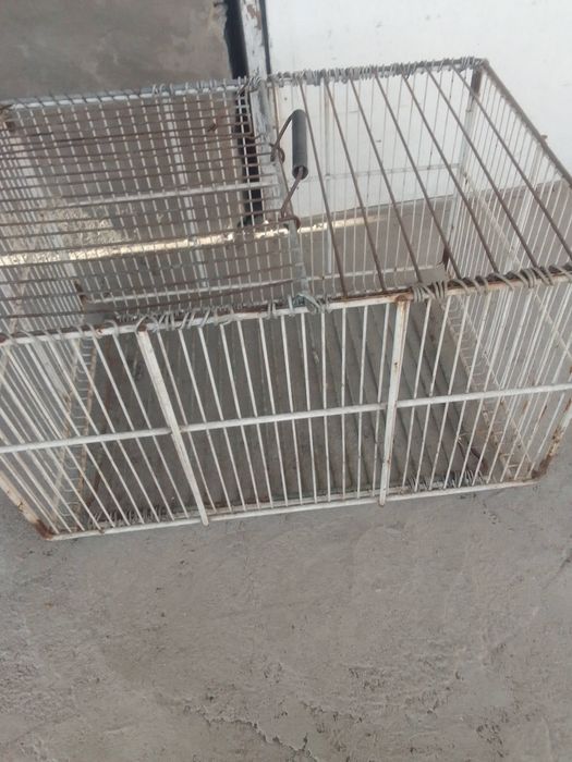 Переноска для голубей