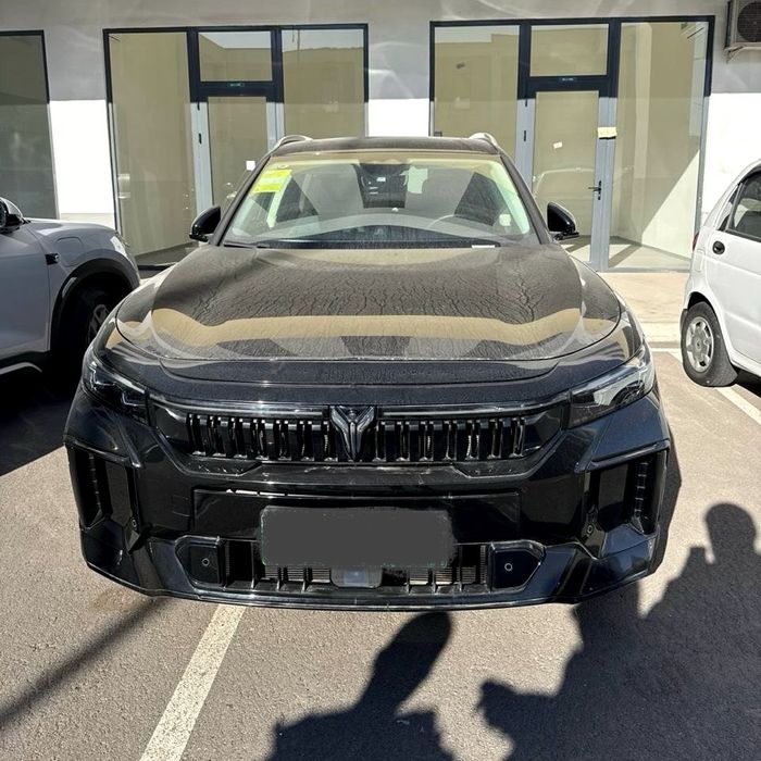 Voyah free apollo tech 210km 2024 йил