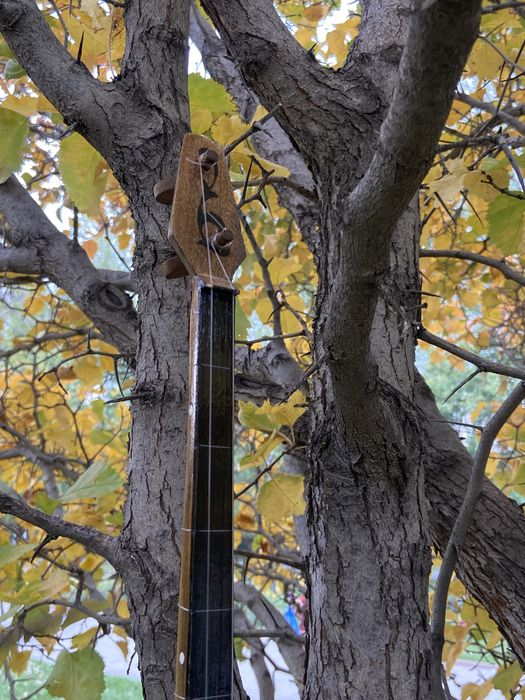 Жиде ағашынан Домбыра Домбра чехол