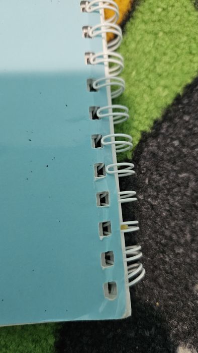 Caiet si fise scrie si sterge pt copii