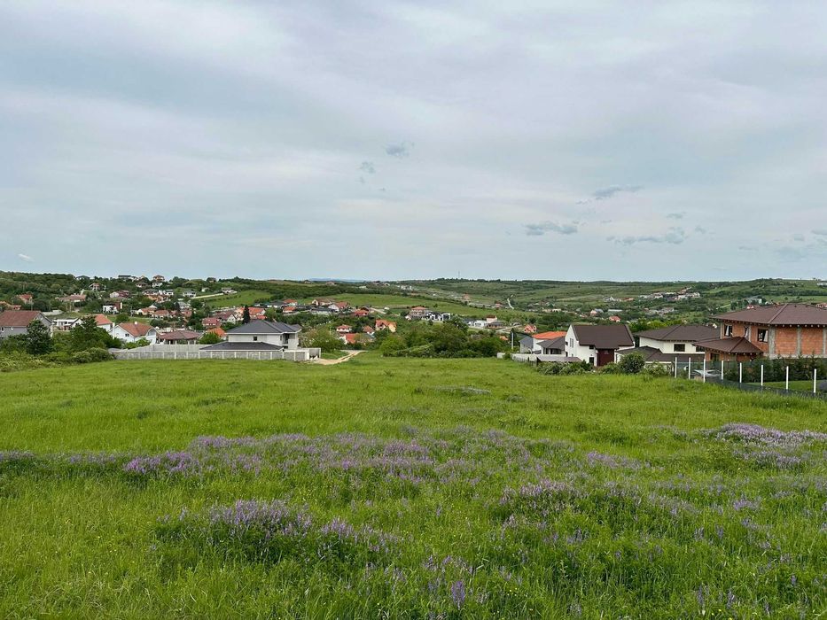 Teren de vanzare , strada Caisilor, zona Dealuri, Oncea