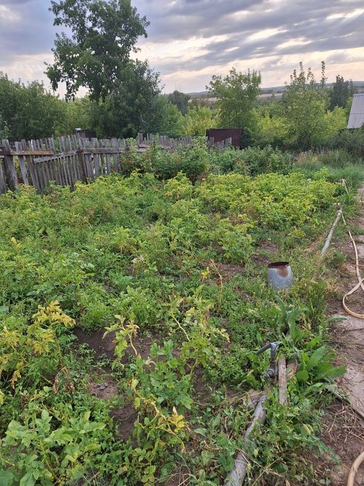 Продам дачу Природе