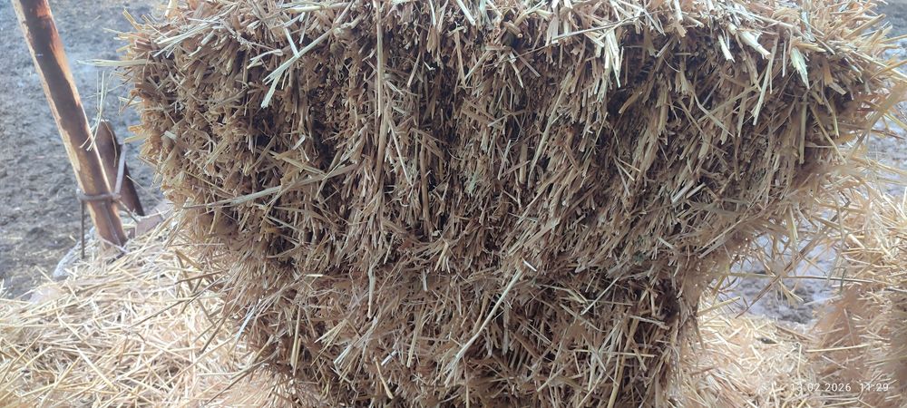 Сомон пресс сот илади.