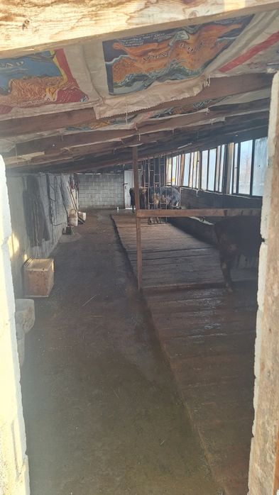 продам Крестиянское хозяйство