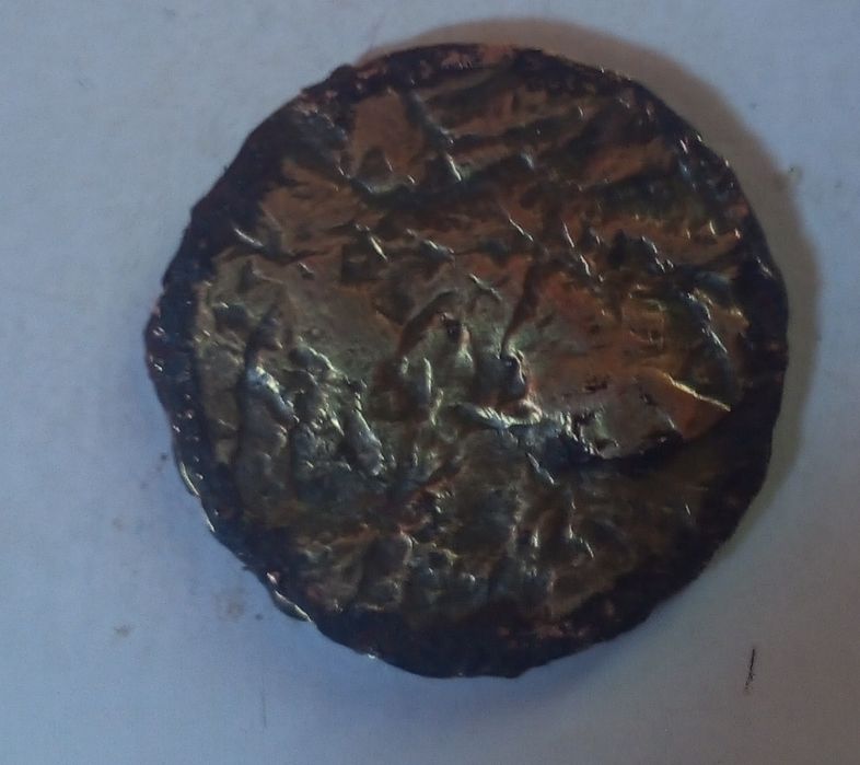 Kushon tangasi kafolati