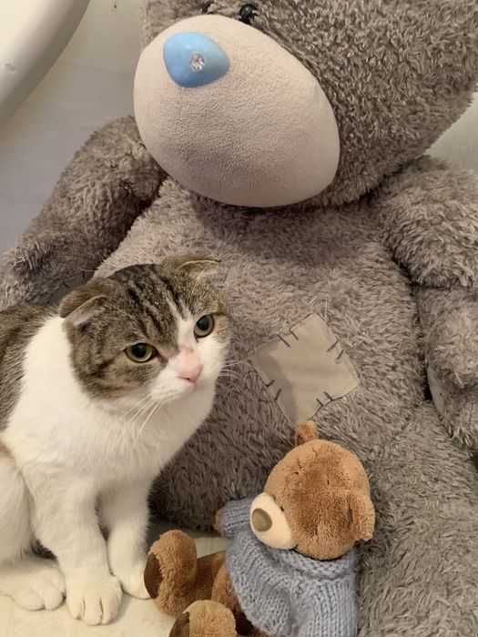 Хорошие руки!