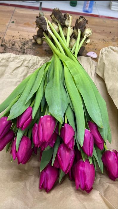 Розы китай склад в Алматы. Тюльпаны