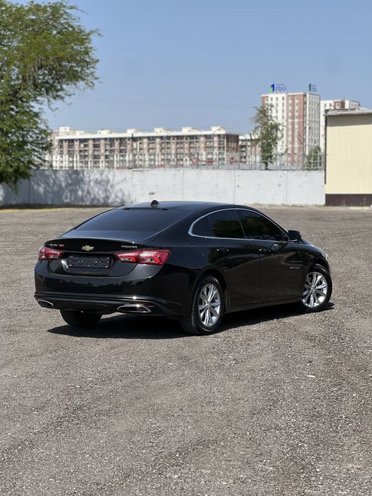 2022 primer malibu
