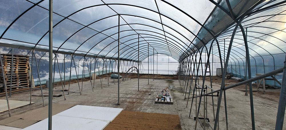 Сдается в аренду теплица 400 м2