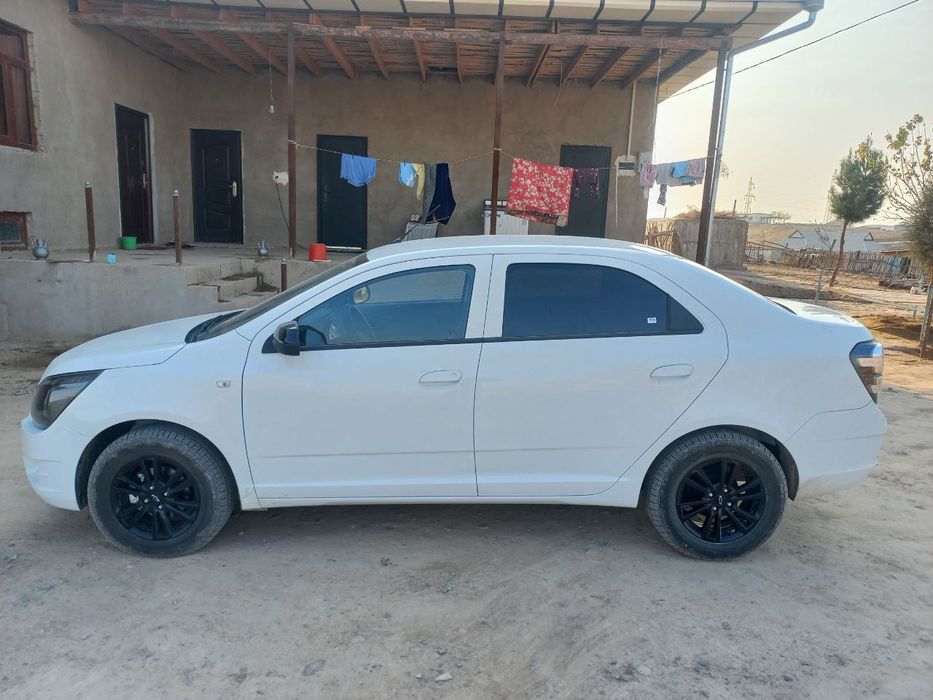 cobalt midnight 2025