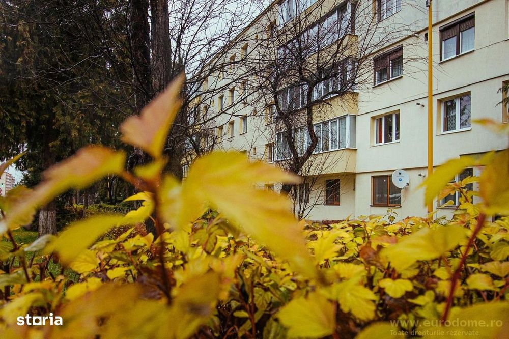 Exclusivitate - Zona Somesul, Calea Bucuresti, 2 camere