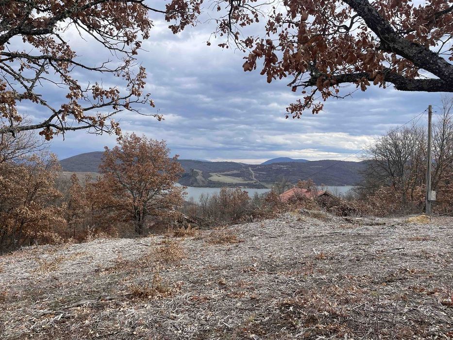 Продава се Парцел в с. Калище, Област Перник - 1000 кв.м за 54 €/кв.м - Снимка #8