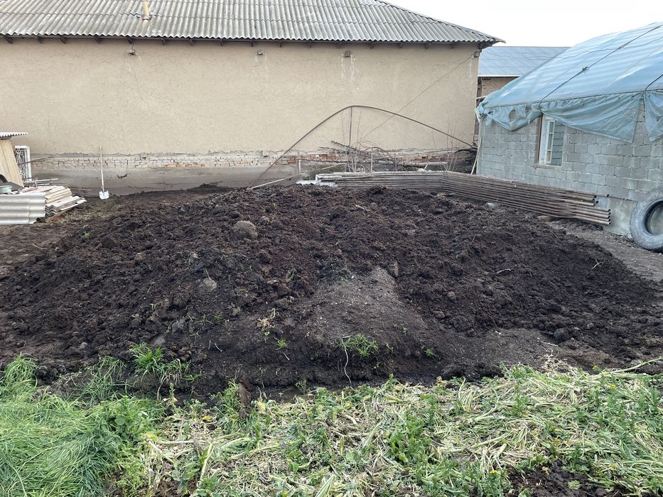 Bio gumis 1000 sum kilishiladi