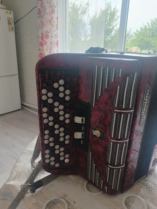 Музыкальный инструмент Баян