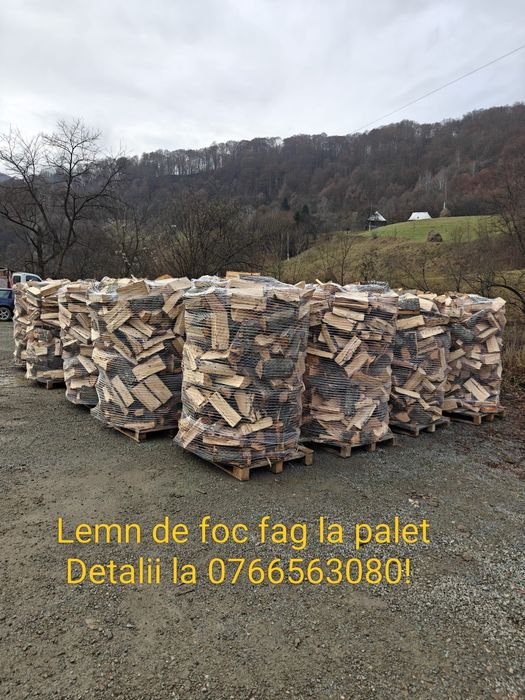 Lemne de foc FAG(taiate si despicate, in lung sau la palet)