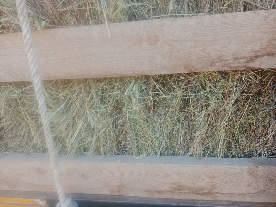 Ірі Түк тюк шөп сатылады