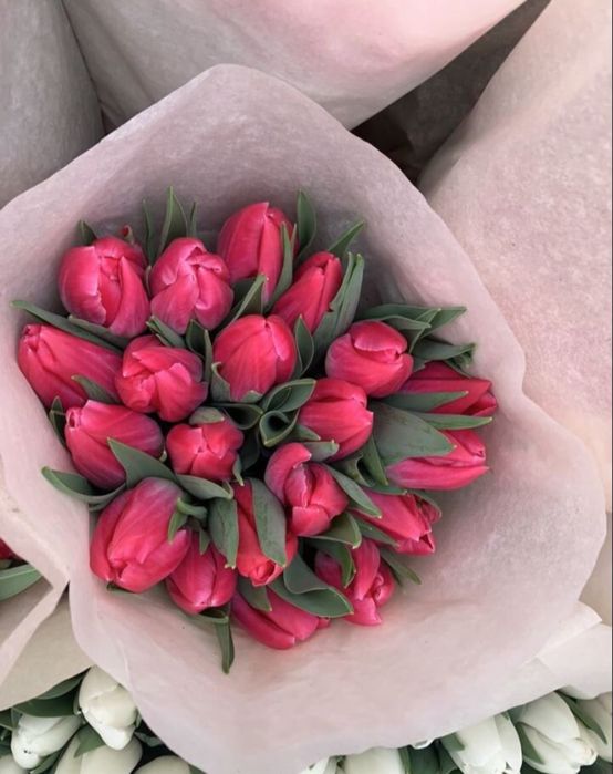 Тюльпаны к 8 марта