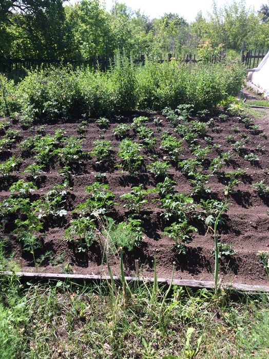 Продам дачу. Общество Энергетик