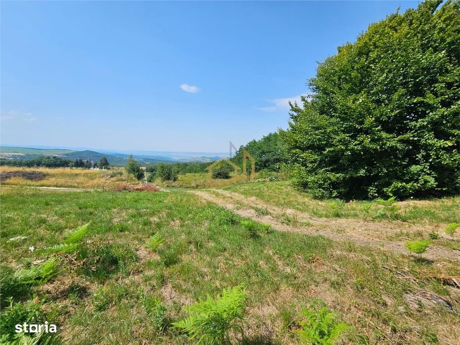 Alzza Real Estate – Teren intravilan de vanzare in Salicea, Cluj – 117