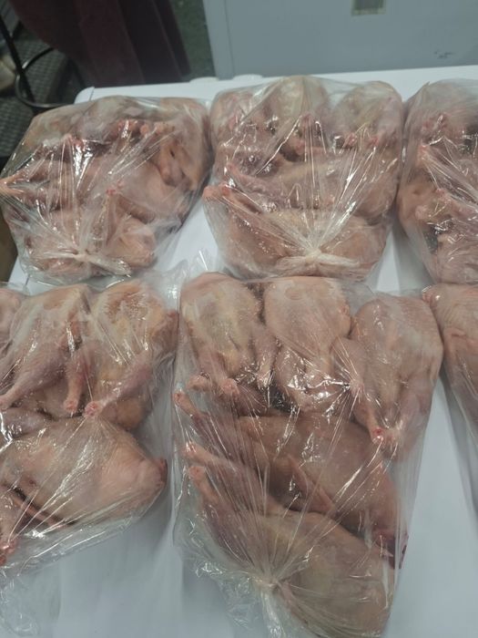 Гуси, куры, перепёлки домашние.