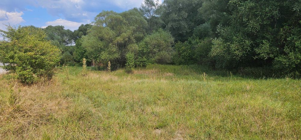 Продава се Парцел в с. Кралев дол, Област Перник - 3750 кв.м за 60 €/кв.м - Снимка #3