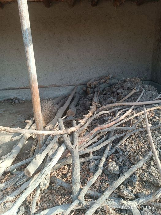 Òtin утин арзон тароша Ромитан