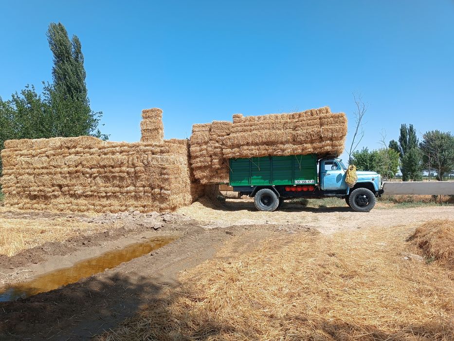 Gaz 53 sotiladi holati alo