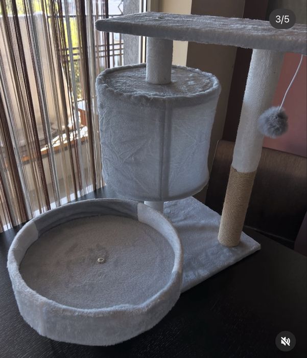 Котешка катерушка