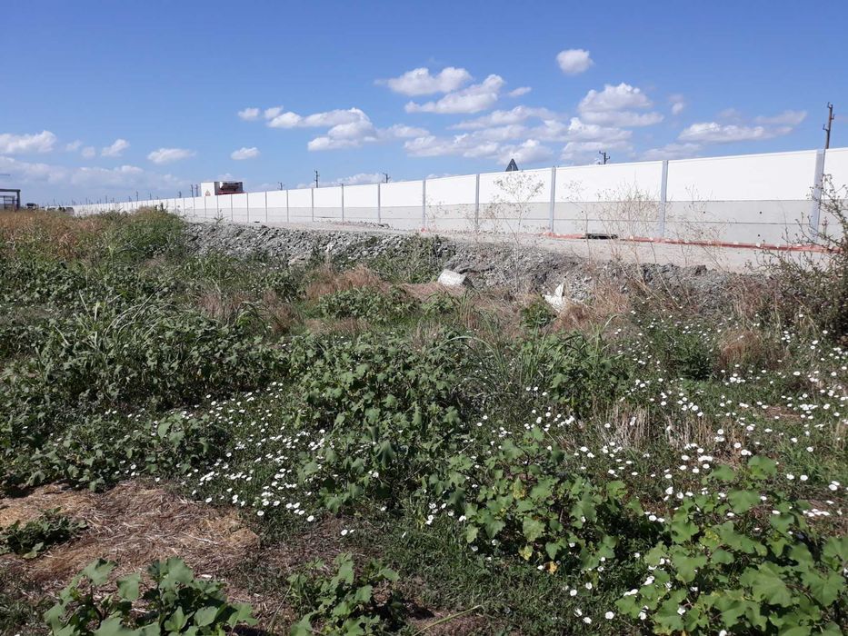 Продава се Парцел в Ахелой - 5000 кв.м за 45 €/кв.м - Снимка #4