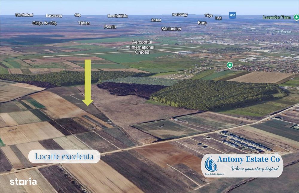 Antony Estate | Oportunitate de investitie - Teren Cihei, langa Padure