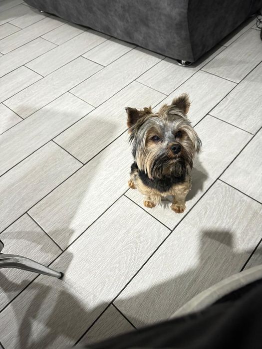 Кабель Йорк вязка