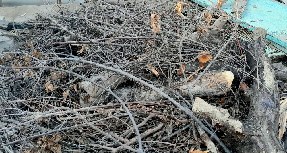 Utin sotiladi NONVOYLAR va Kafelar uchun