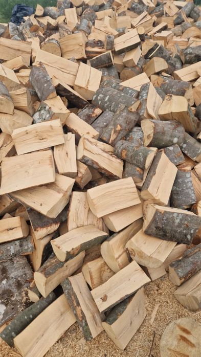 Lemne de foc de fag .