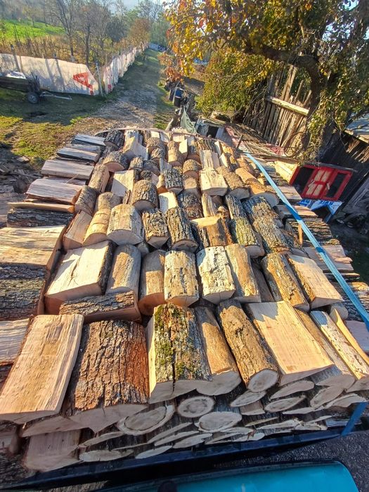 Lemn de foc stejat uscat 600 lei tona