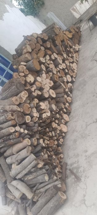 Oʻtin sotiladi bir labo chiqadi