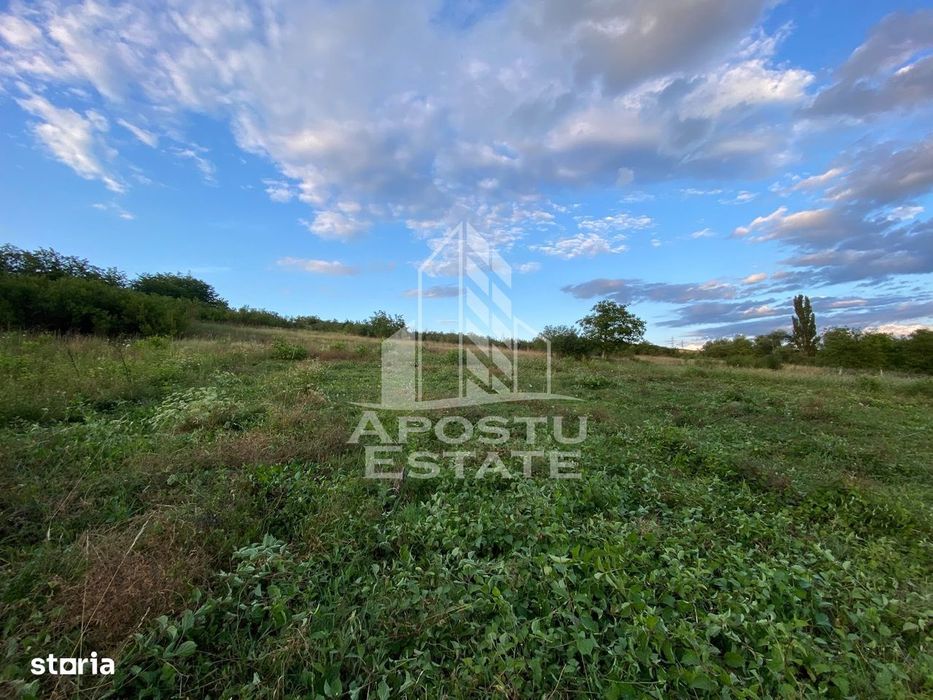 Teren intravilan cu vedere panoramica spre Retezat, Buituri, Hunedoara