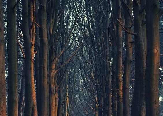 Делаю людей счастливее!!! Услуги психолога