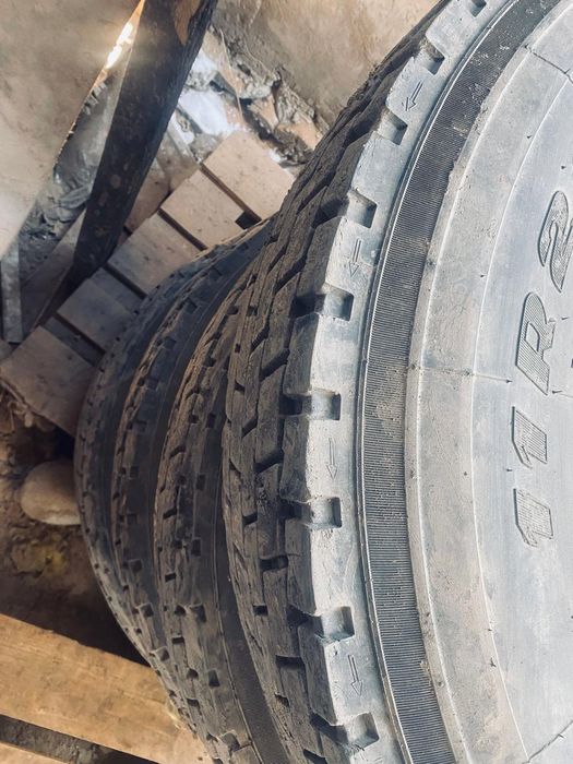 Шина все сезонка