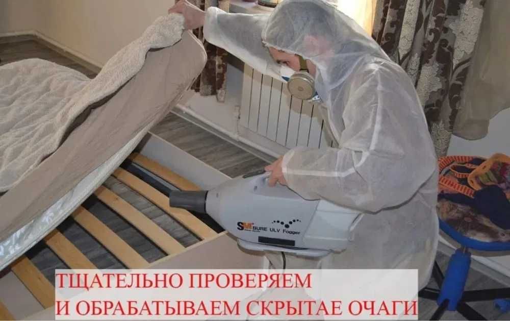 Профессиональное уничтожение насекомых