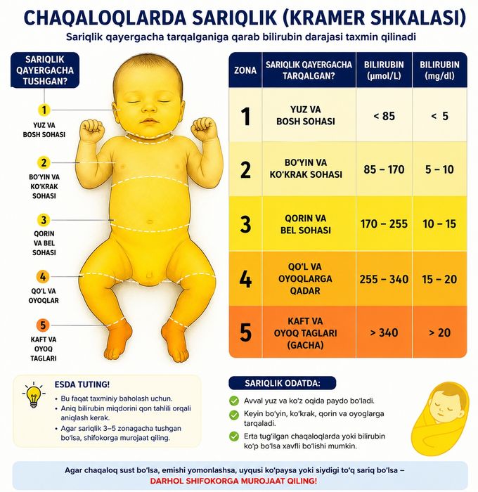 FOTOLAMPA ijarasi kunlik haftalik